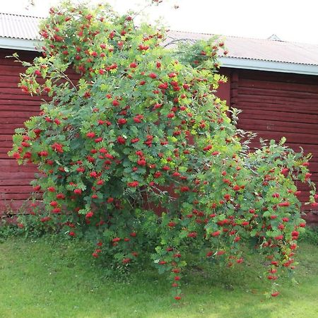 KankaanpääIdyllinen Kaksio公寓 外观 照片