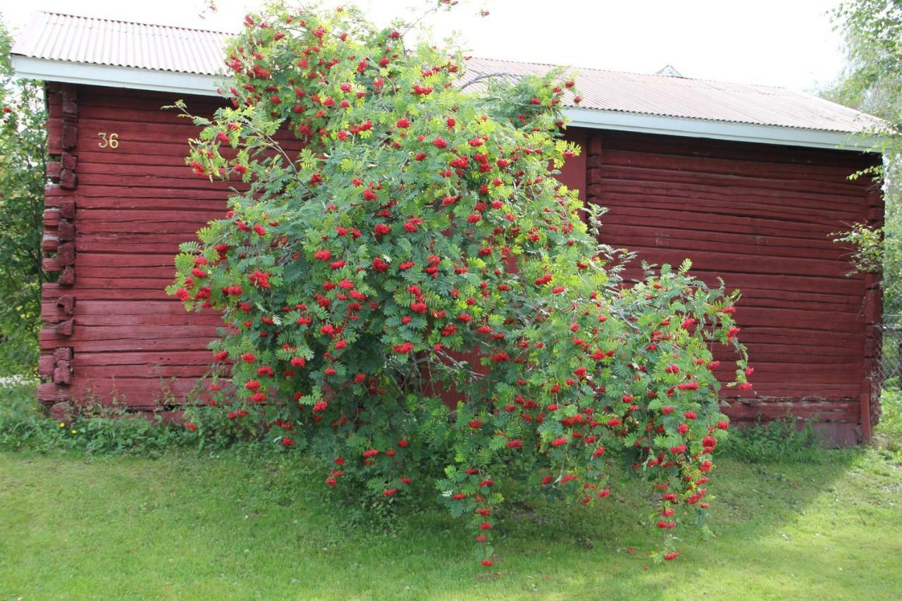 KankaanpääIdyllinen Kaksio公寓 外观 照片